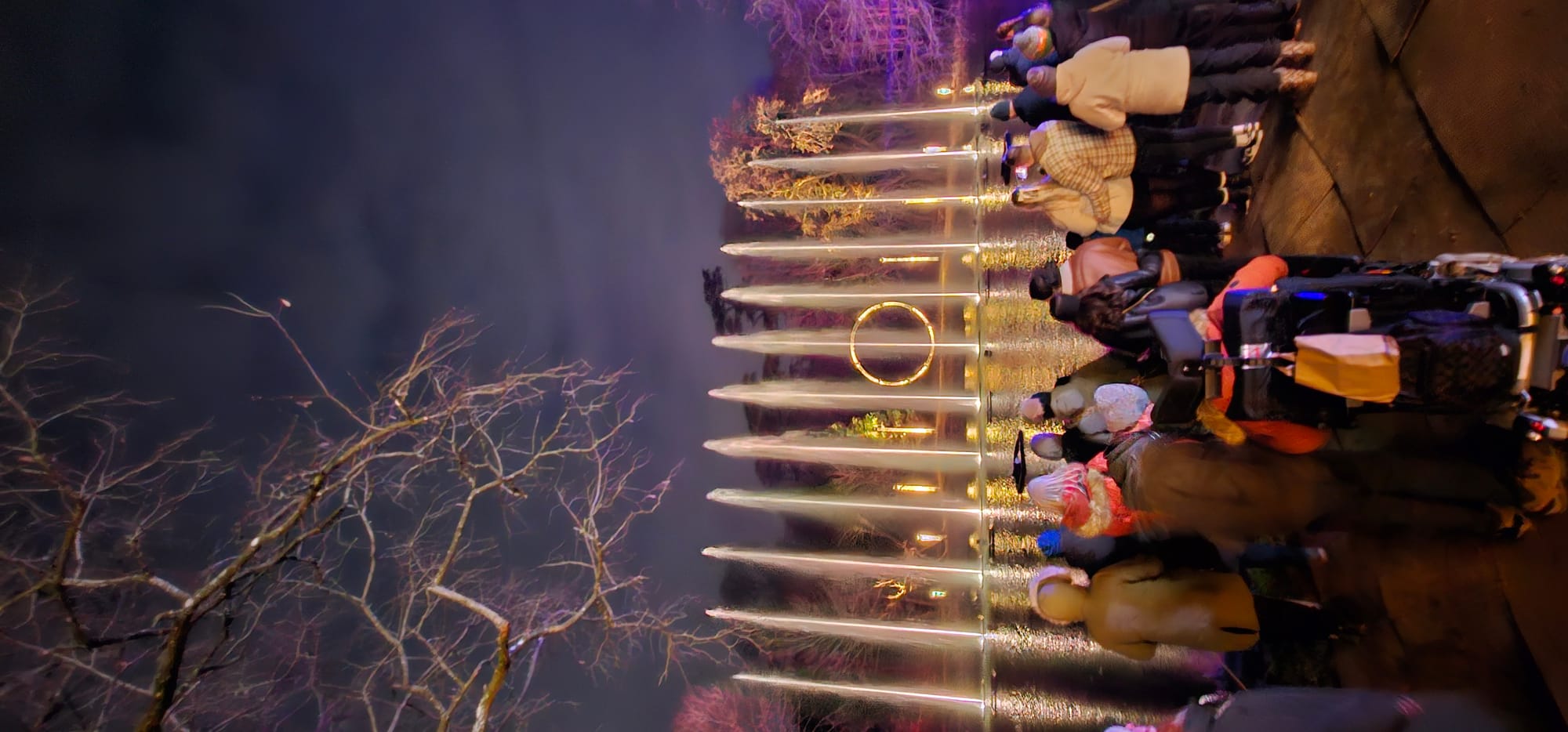 BLENHEIM LIGHTS 2024