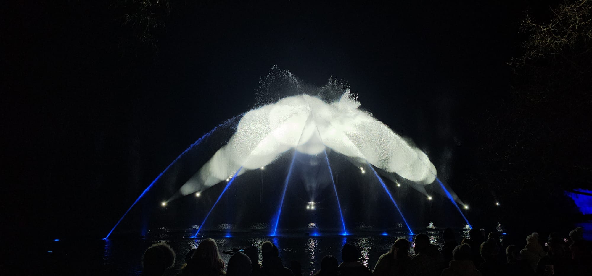 BLENHEIM LIGHTS 2024