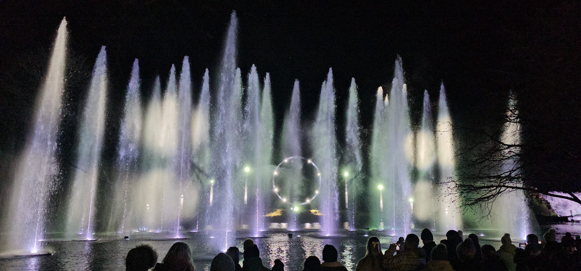 BLENHEIM LIGHTS 2024