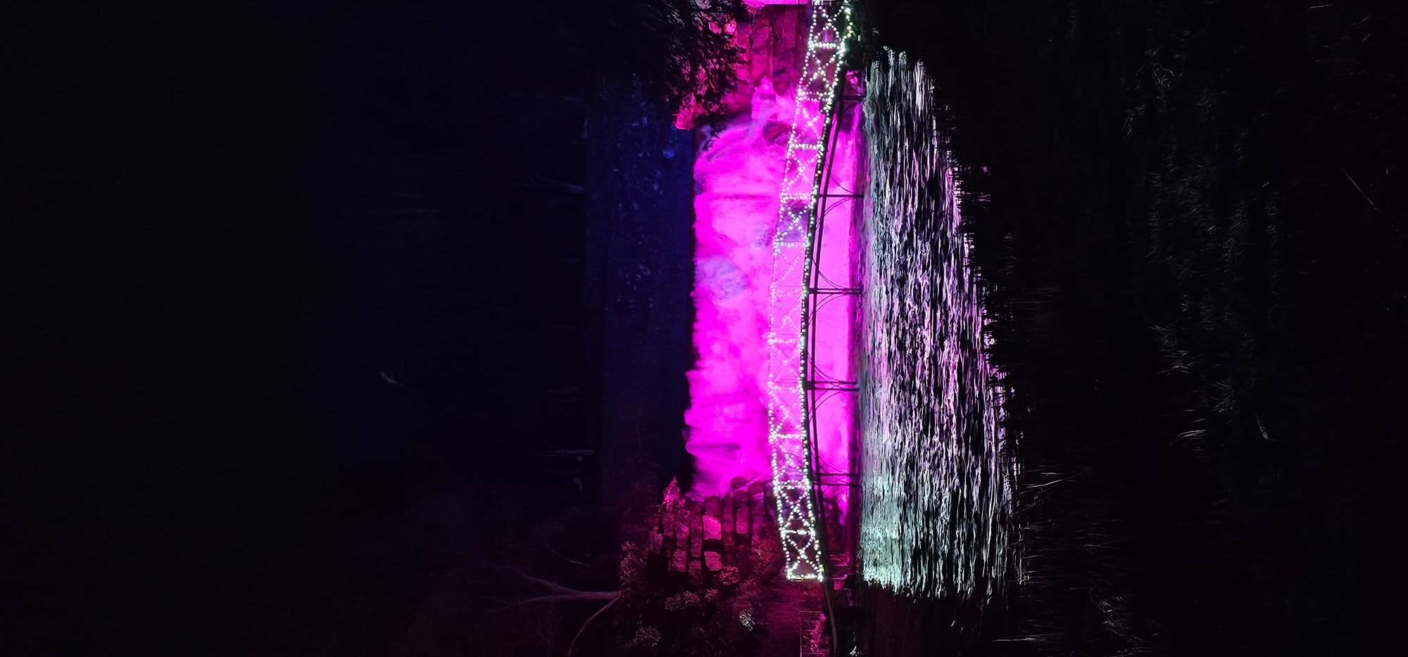 BLENHEIM LIGHTS 2024