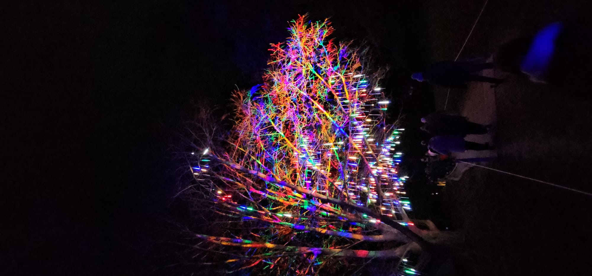 BLENHEIM LIGHTS 2024