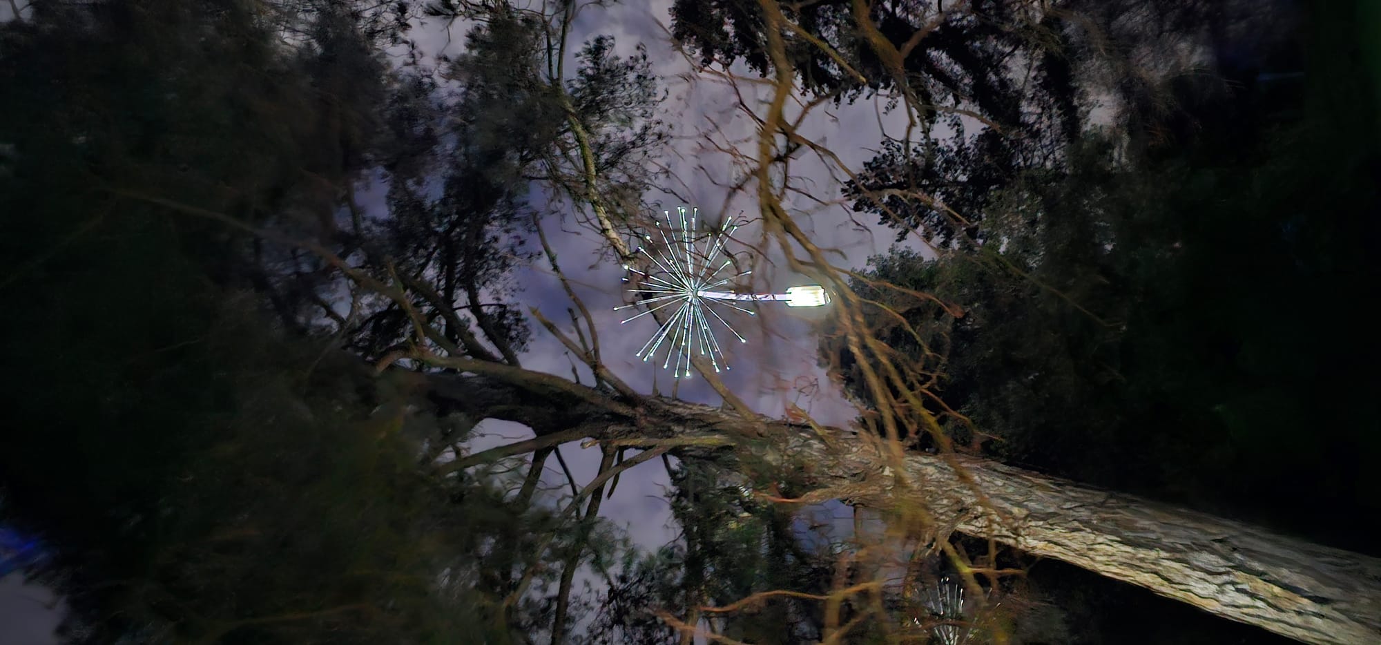 BLENHEIM LIGHTS 2024