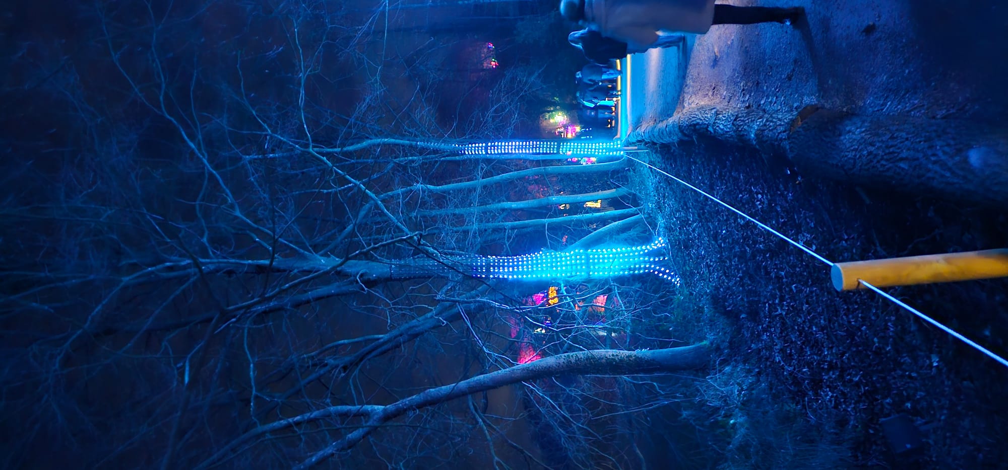 BLENHEIM LIGHTS 2024