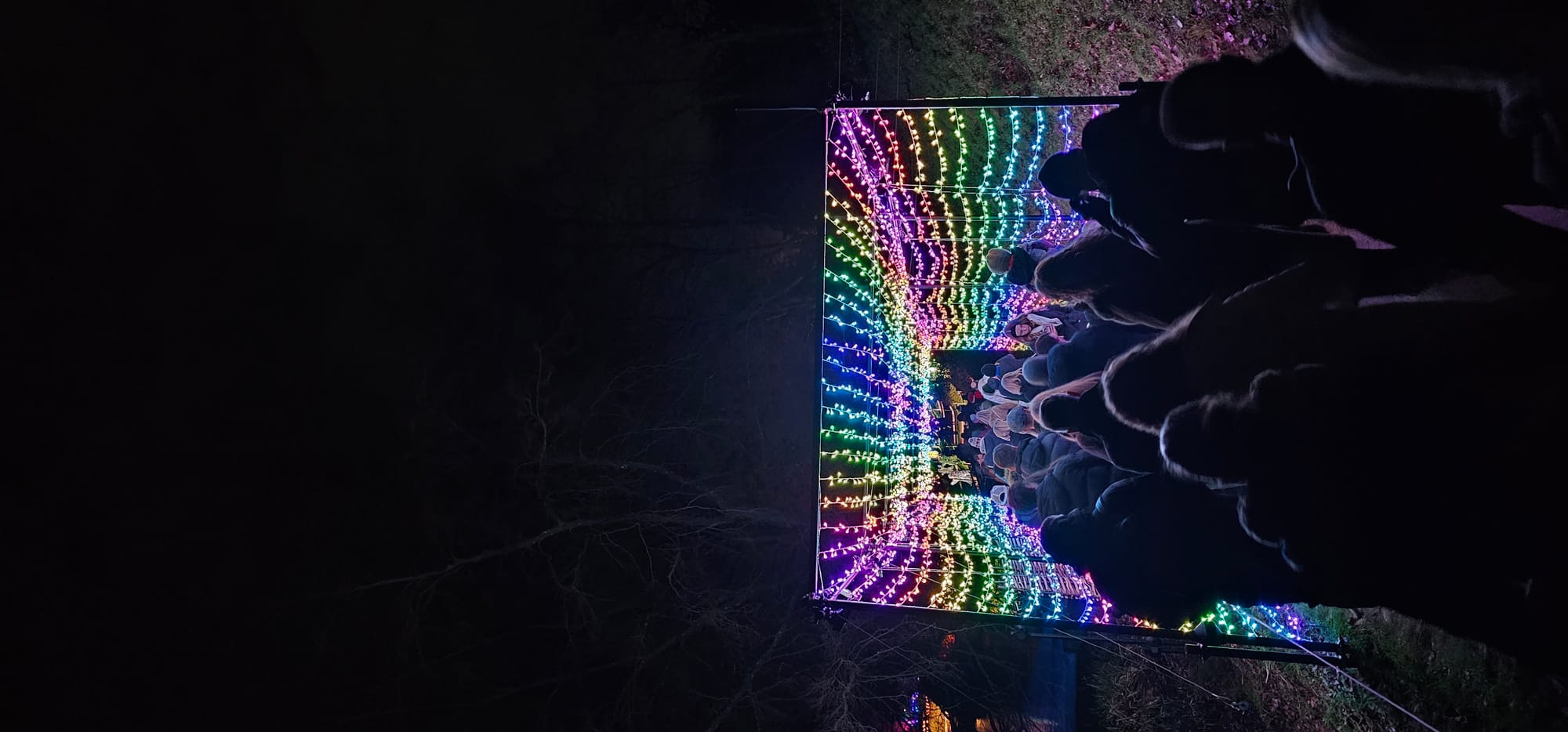 BLENHEIM LIGHTS 2024