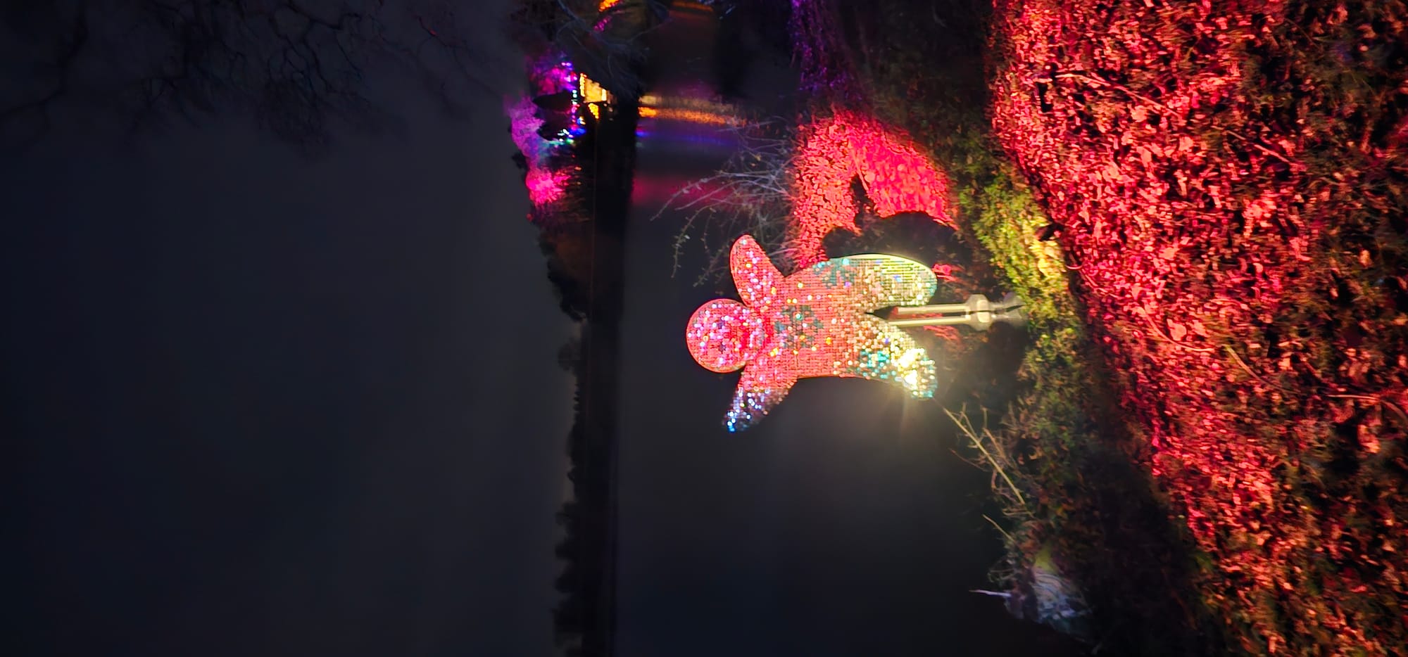 BLENHEIM LIGHTS 2024