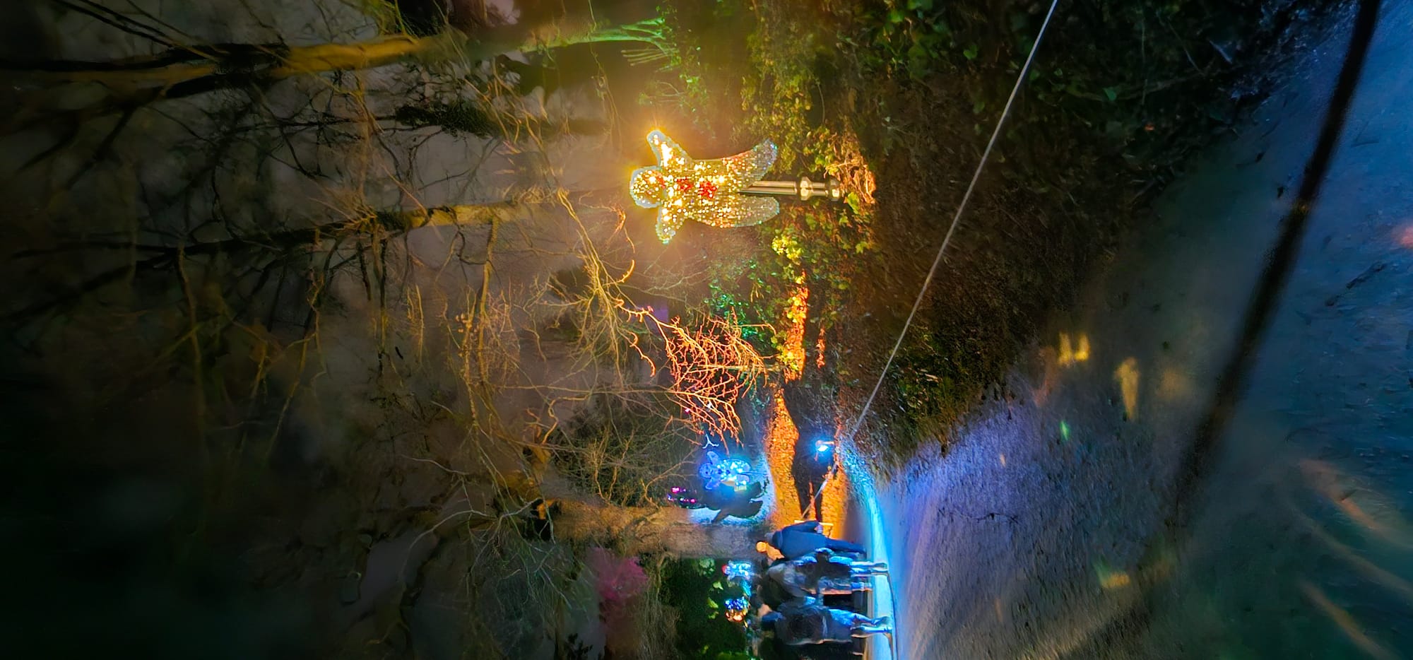 BLENHEIM LIGHTS 2024