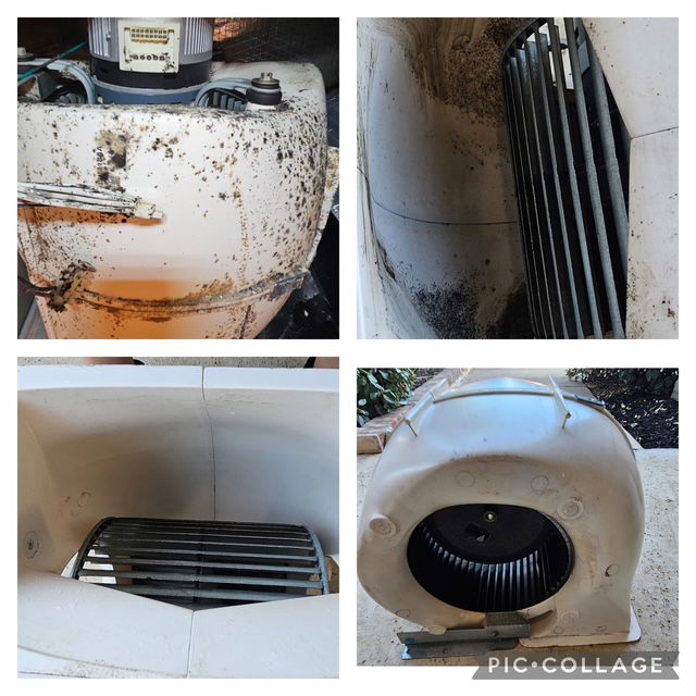 Blower Motor Cleaning