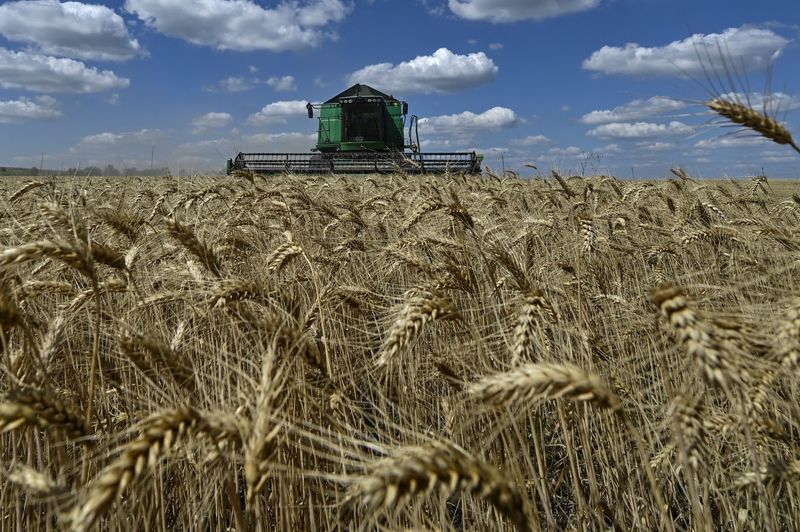 Ucrania, ese oscuro objeto del deseo