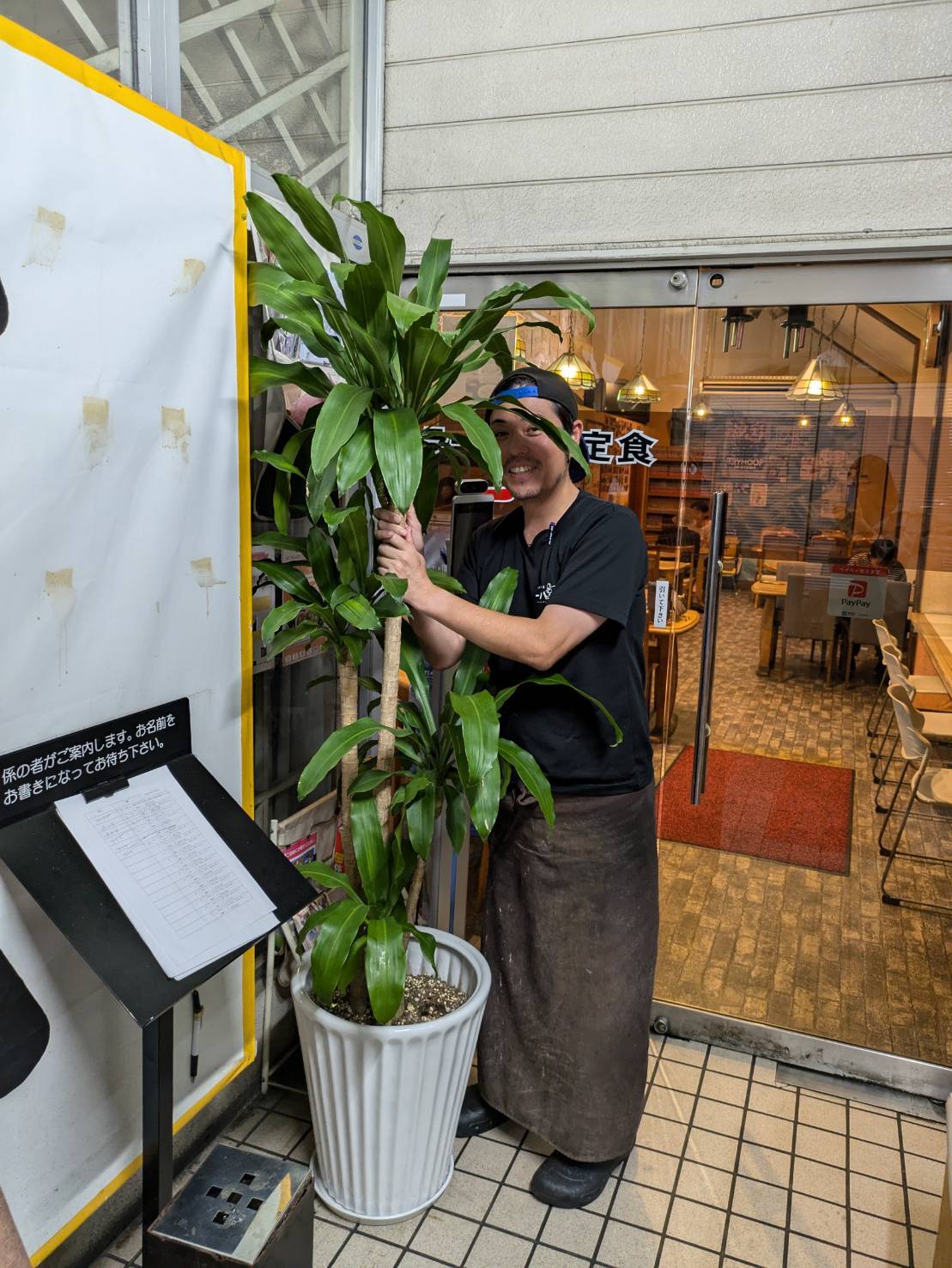 株式会社 MORIYA鉢木 - 岡山県倉敷市にあるどこよりも欲しい植木鉢・植物【テラコッタ】が安く手に入る！！植木鉢 卸業・仕入れ・通販《植替えのサポート》まで！！岡山ならでは【備前焼植木鉢】も株式会社ＭＯＲＩＹＡ鉢木【お祝いギフト観葉植物】の配送もおまかせ ...