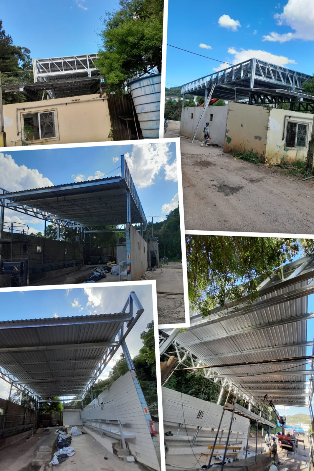 Lavagem  de caminhões  suínos