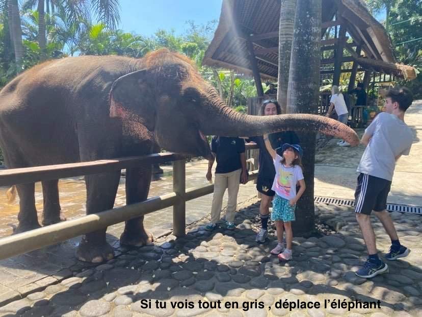 En harmonie avec les éléments 