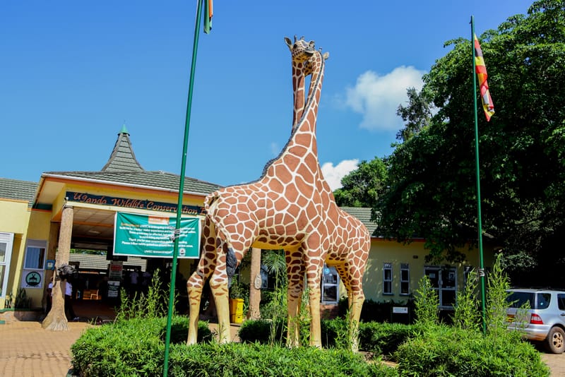 Experiential Moments at the Entebbe Zoo