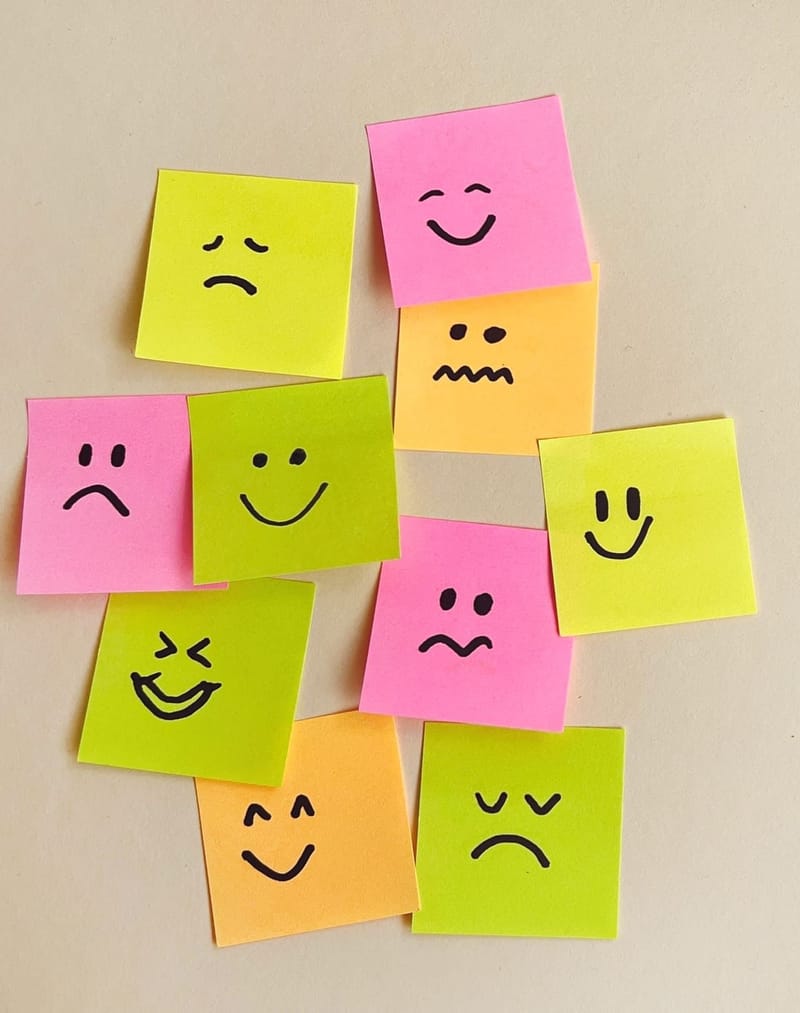 CARTOGRAPHIE DES EMOTIONS