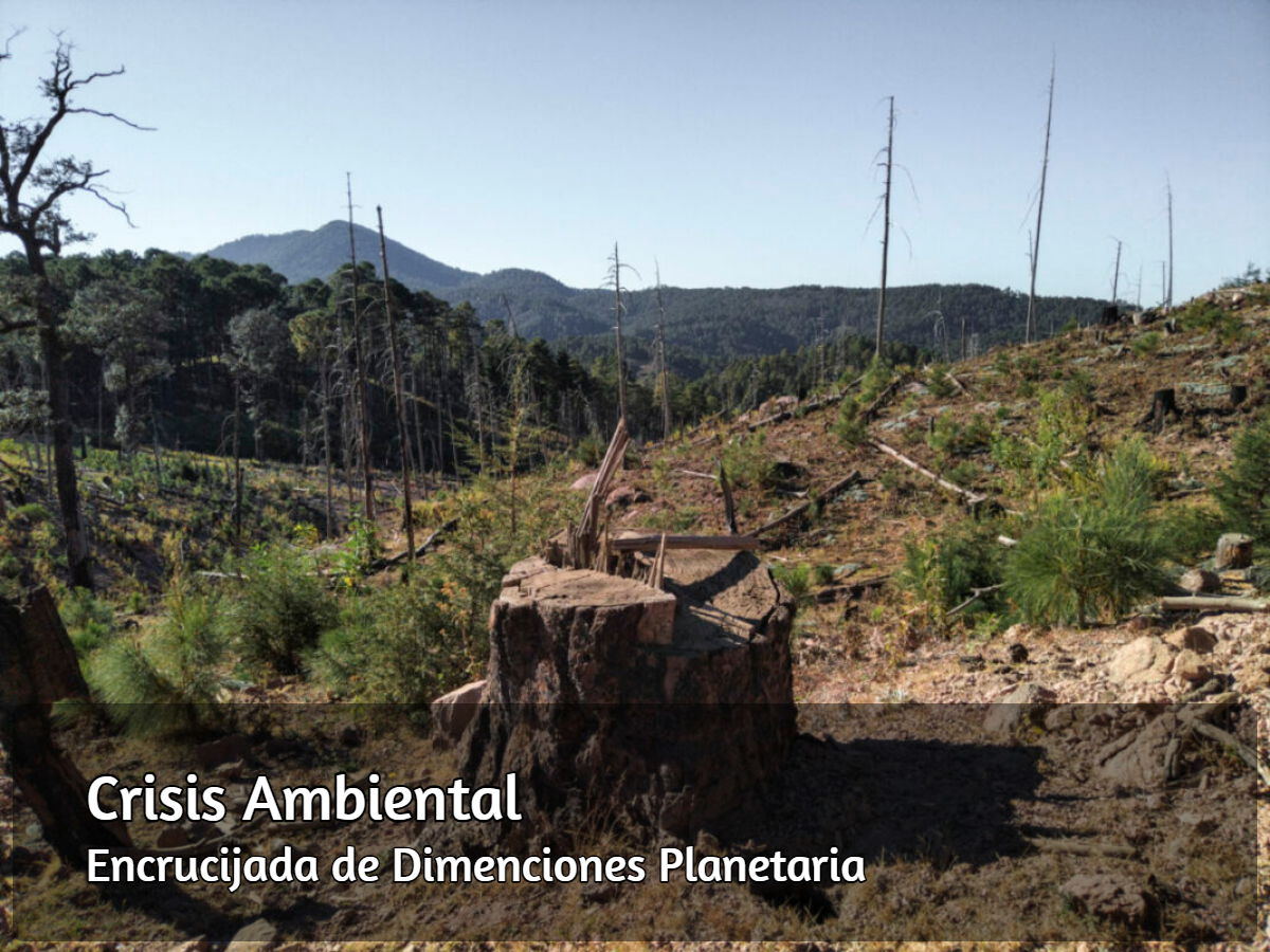 Crisis ambiental