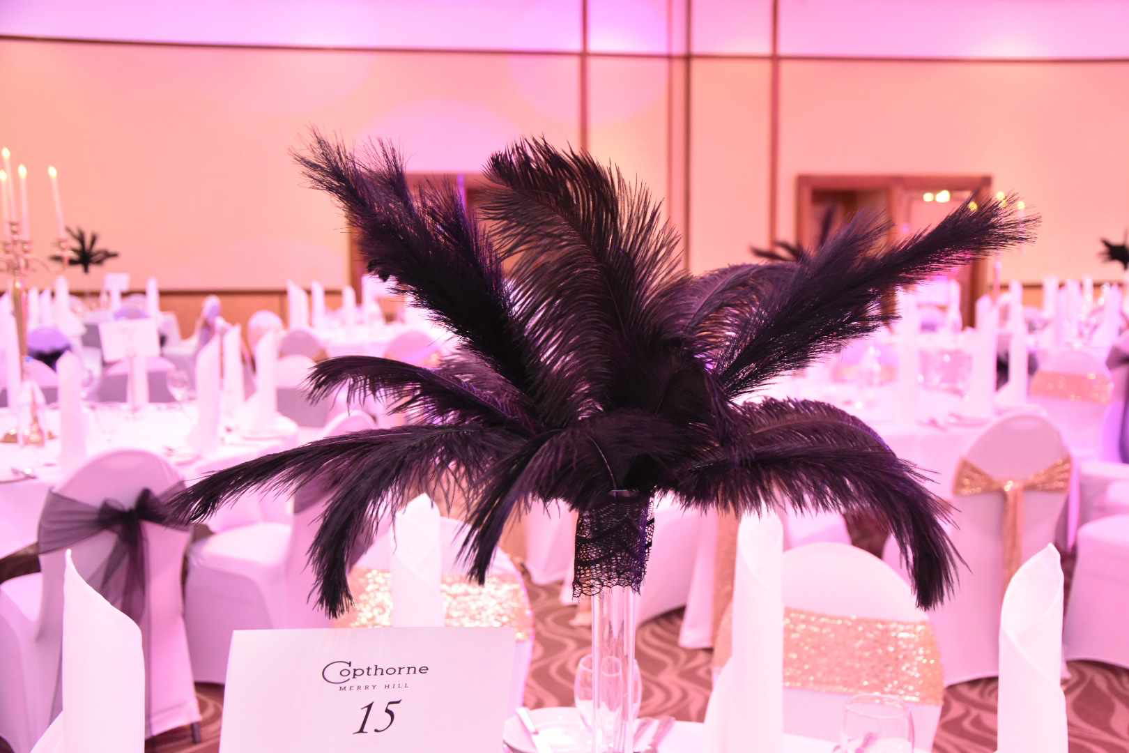 Gracies Birthday Ball 2024 