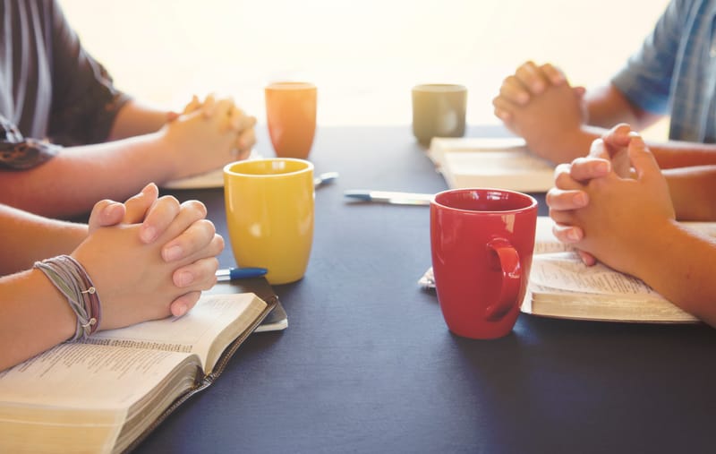 Dinner & Study - Copy