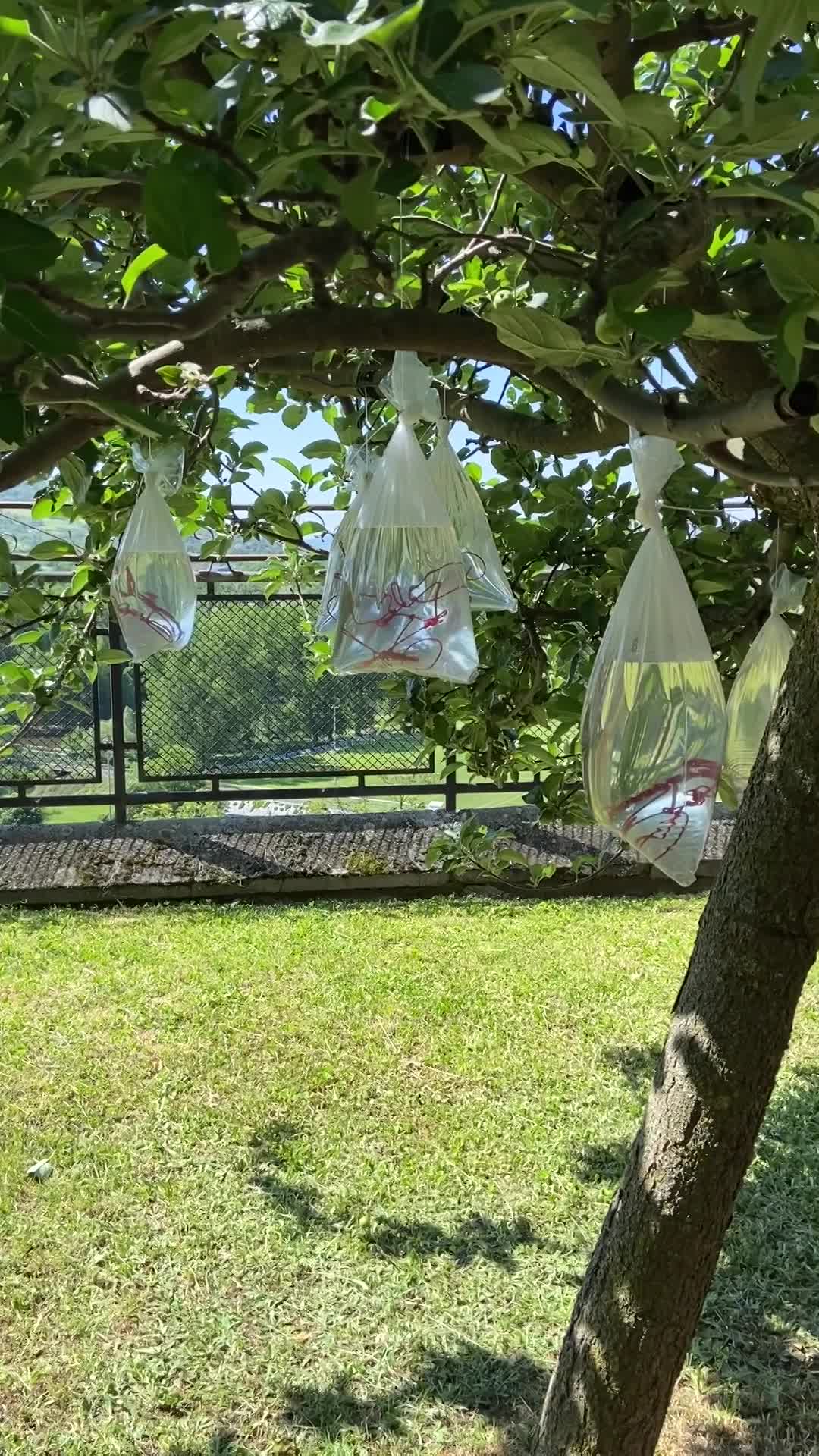 Nous en sommes fiers ! Et vous ? 