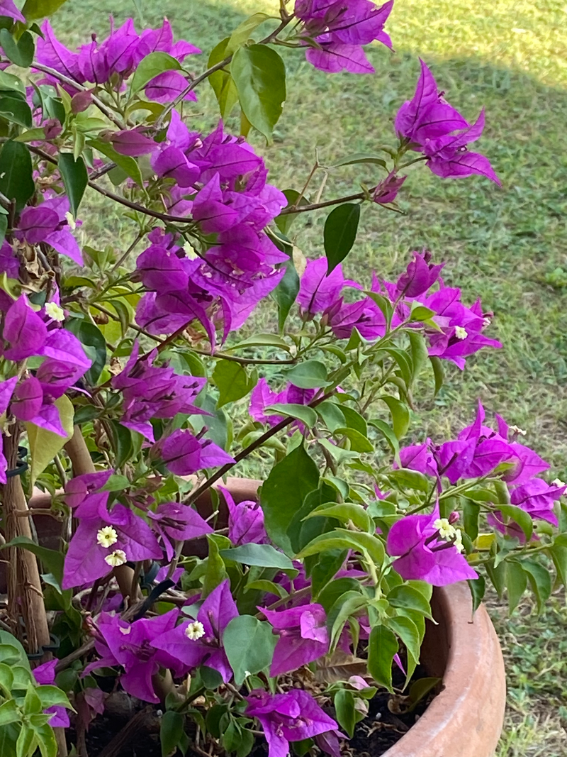 Nous en sommes fiers ! Et vous ? 