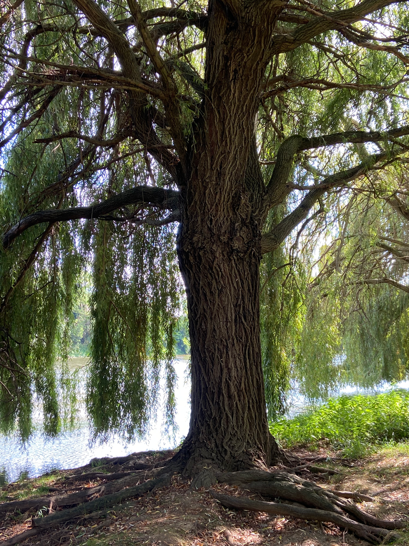 Nous en sommes fiers ! Et vous ? 