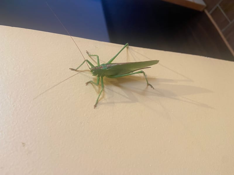 Nous en sommes fiers ! Et vous ? 