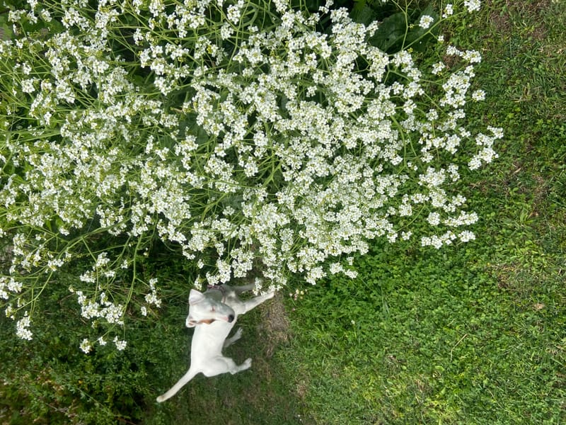 Nous en sommes fiers ! Et vous ? 