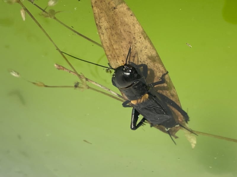 Nous en sommes fiers ! Et vous ? 