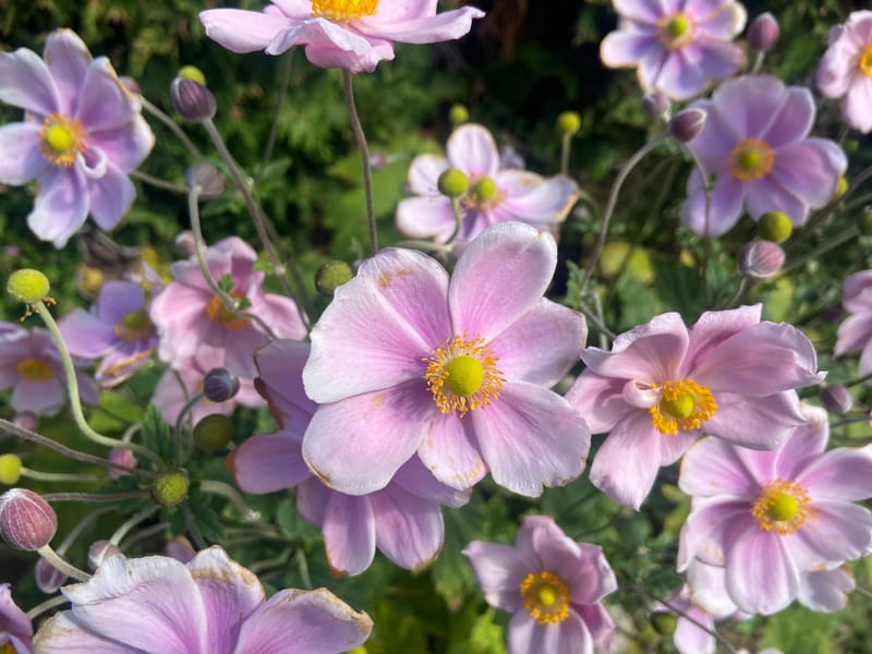 Nous en sommes fiers ! Et vous ? 