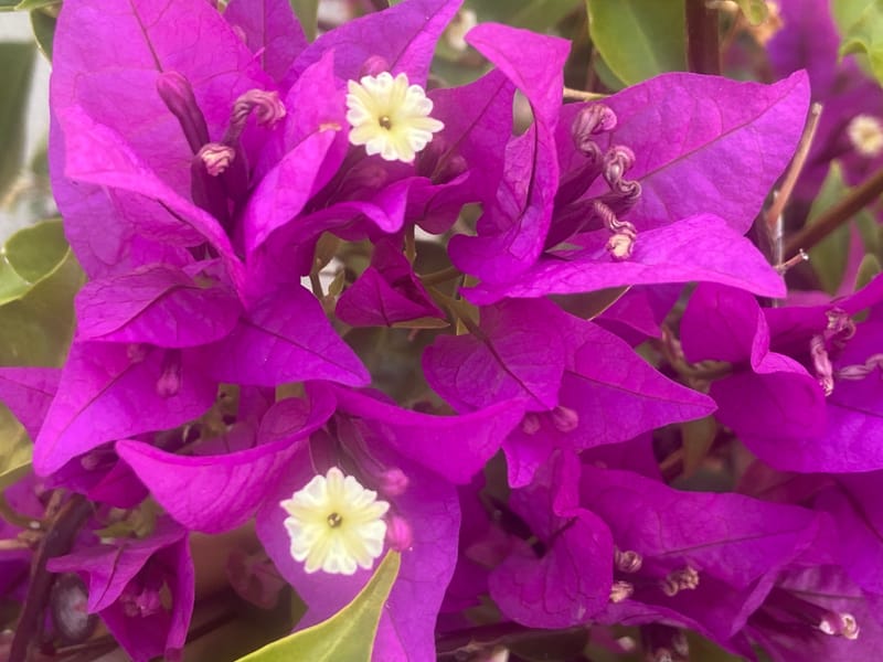 Nous en sommes fiers ! Et vous ? 