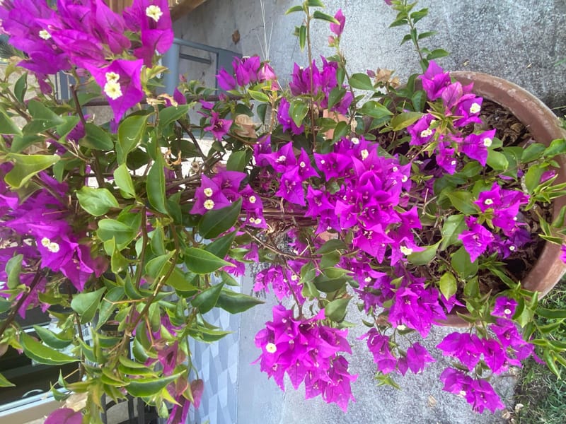 Nous en sommes fiers ! Et vous ? 