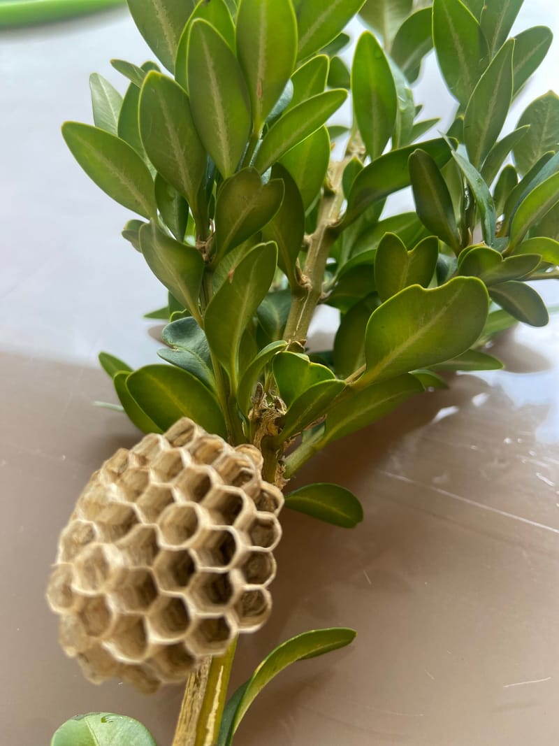 Nous en sommes fiers ! Et vous ? 