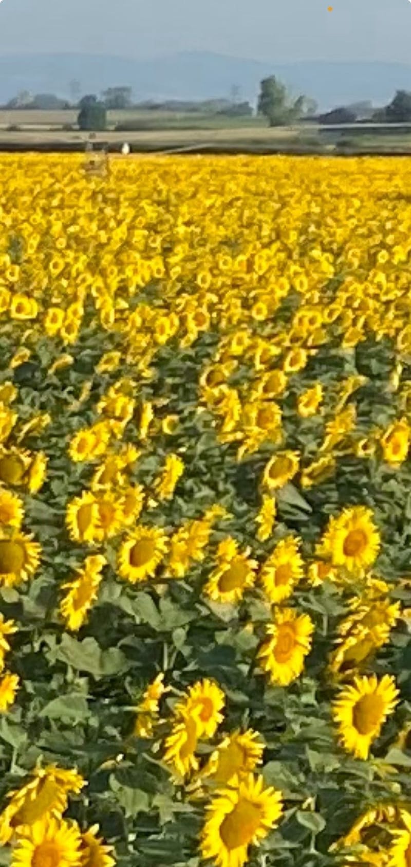 Nous en sommes fiers ! Et vous ? 