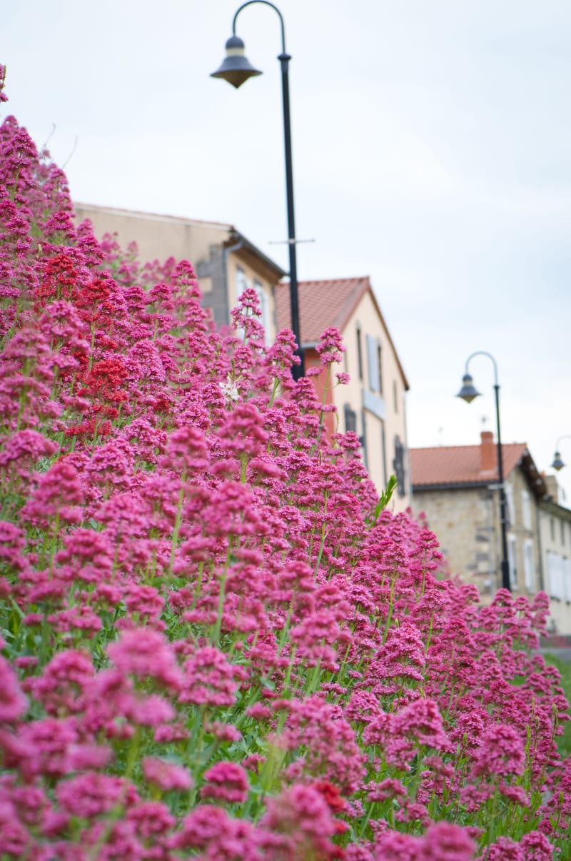 Nous en sommes fiers ! Et vous ? 