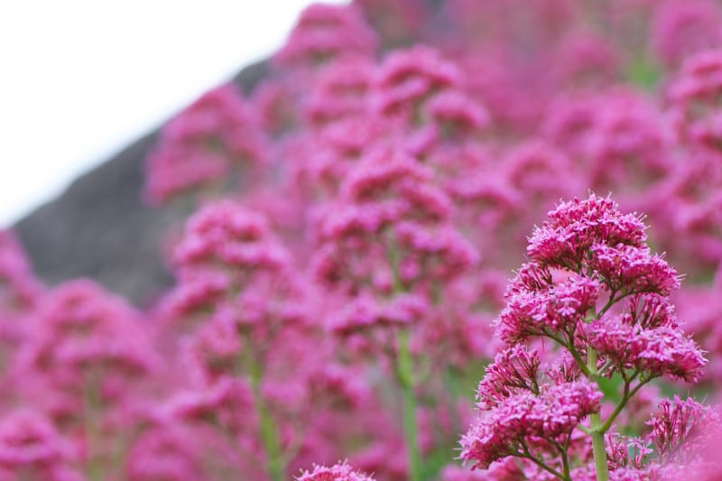 Nous en sommes fiers ! Et vous ? 