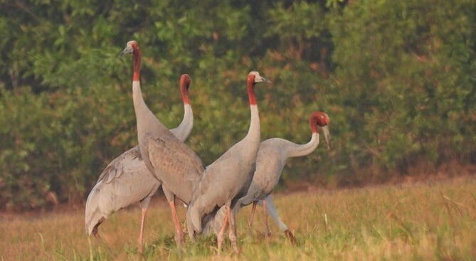 Le Parc National de Kêp