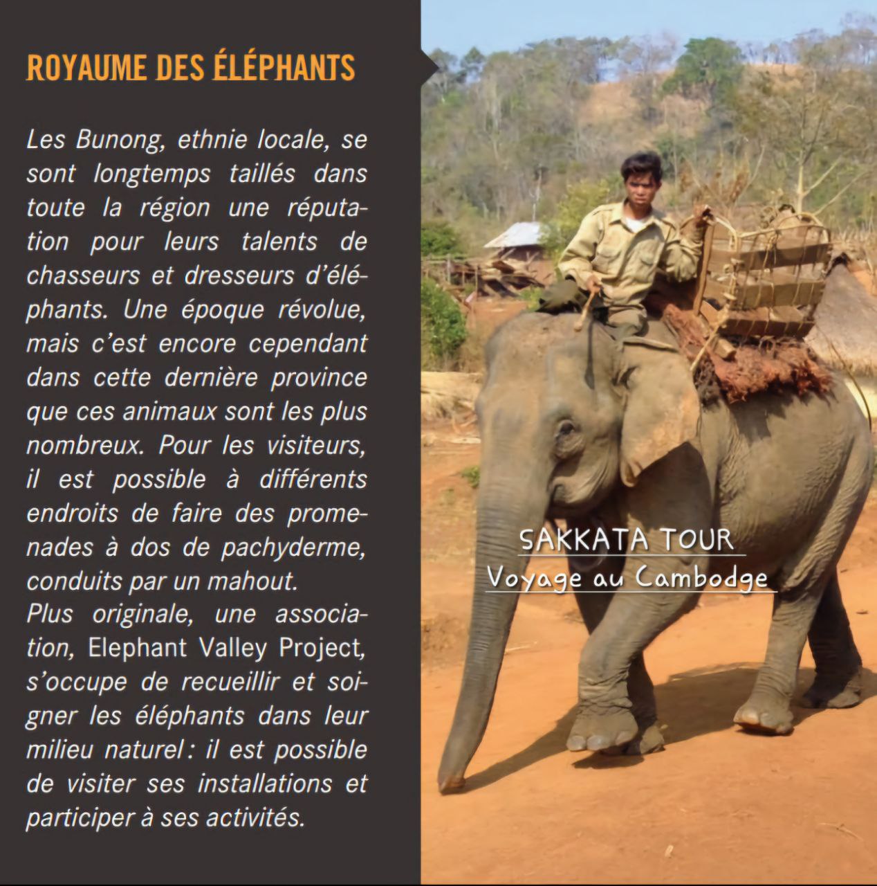 La randonnée avec les éléphants dans la jungle de Mondolkiri