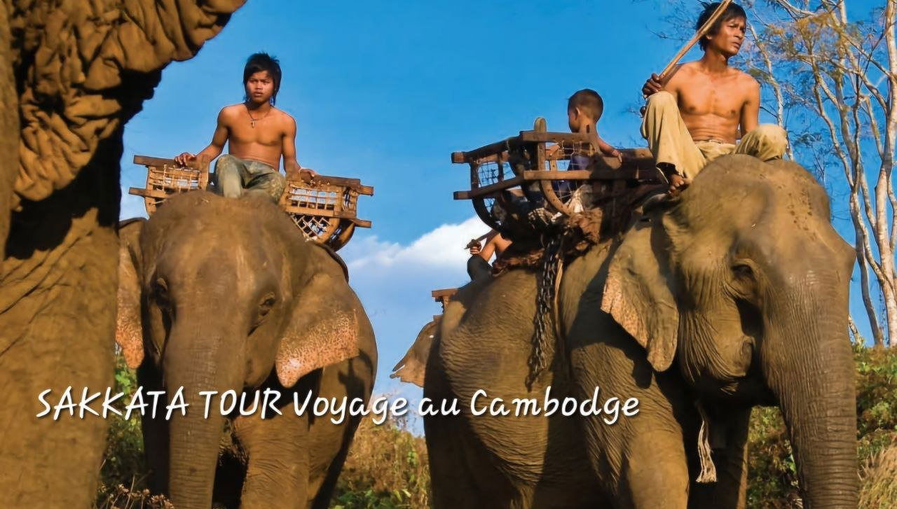 Les éléphants du Cambodge