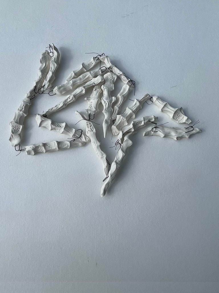 Corpus Coral