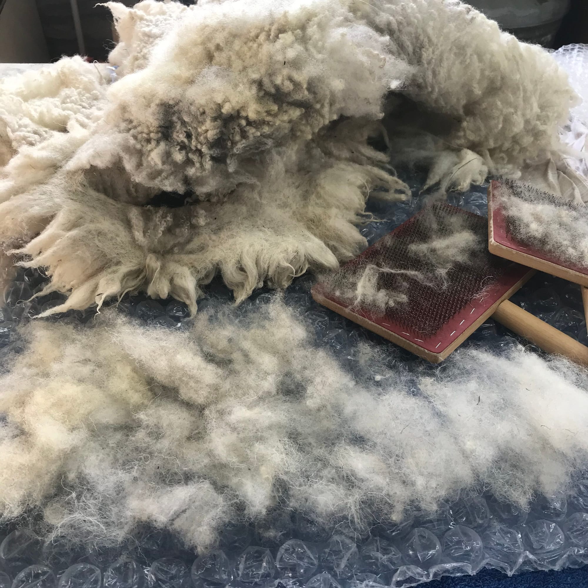 Carding from waste fleece