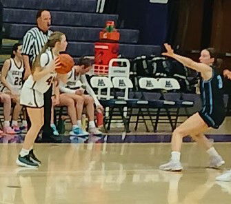 Player Impressions Playoff Version - Dexter V. Ann Arbor Skyline