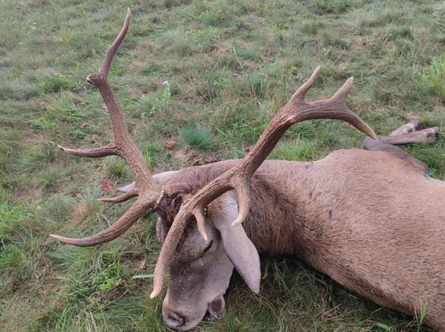 Újabb büszkeség 🌿