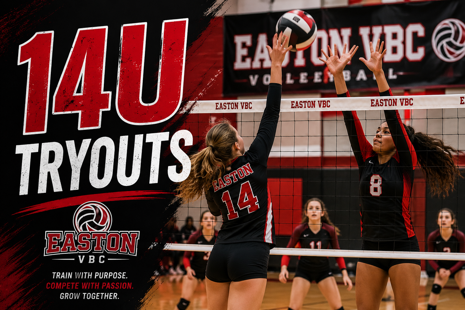 14U Tryouts - Oct. 17 & 18, 2026