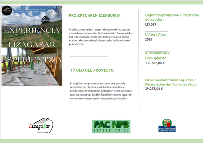 Proyecto financiado con Fondos del Gobierno Vasco - Copia