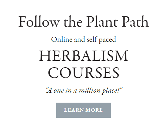 Image representing "Herbalism Courses"