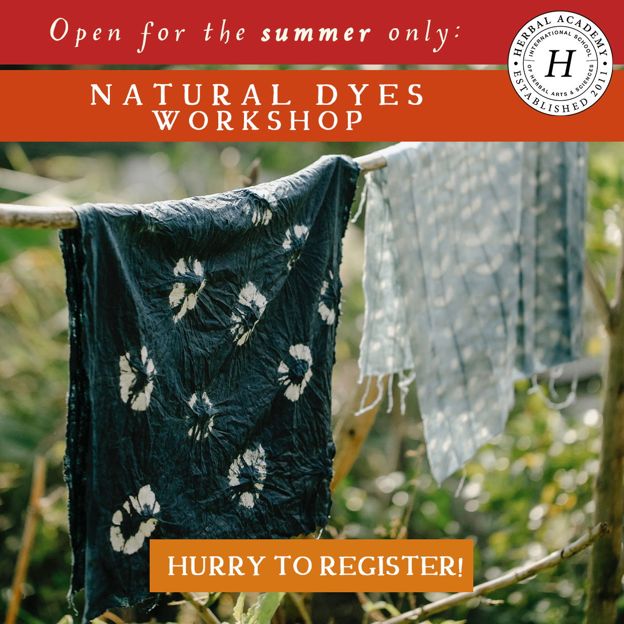 Unlock the Vibrant World of Natural Color: Natural Dyes Workshop by Herbal Academy