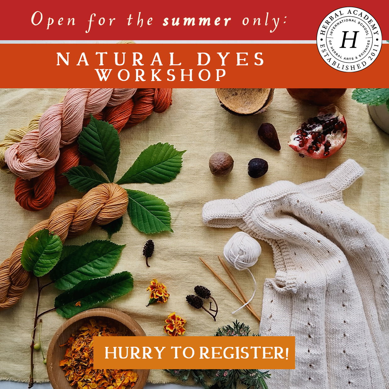 Unlock the Vibrant World of Natural Color: Natural Dyes Workshop by Herbal Academy