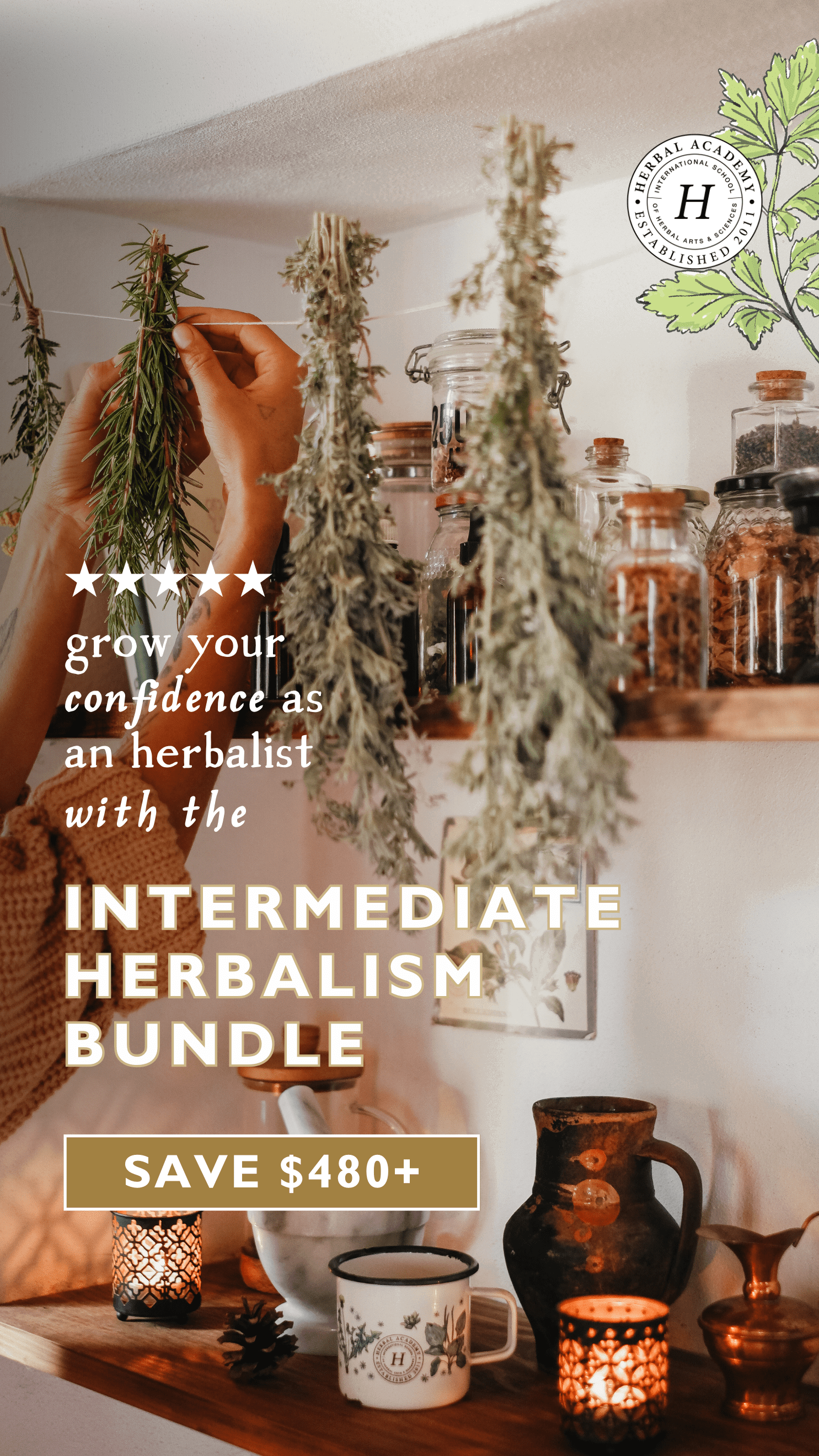 An herbal course bundle you won’t want to miss!