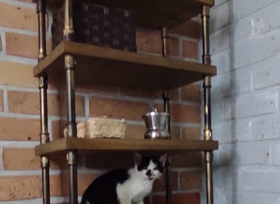 Meble do łazienki w stylu skandynawskim