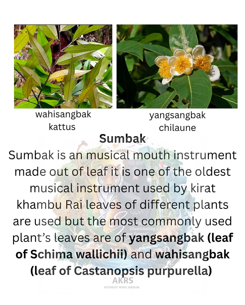 Kirati Folk Instrument