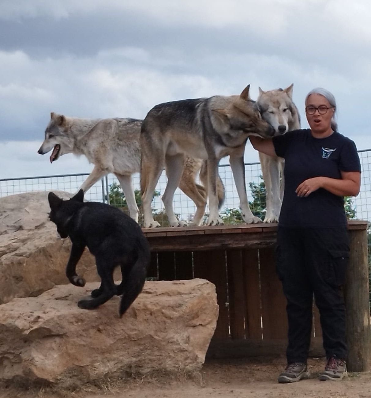 Nouveauté 2026 : "Sur la trace des animaux".