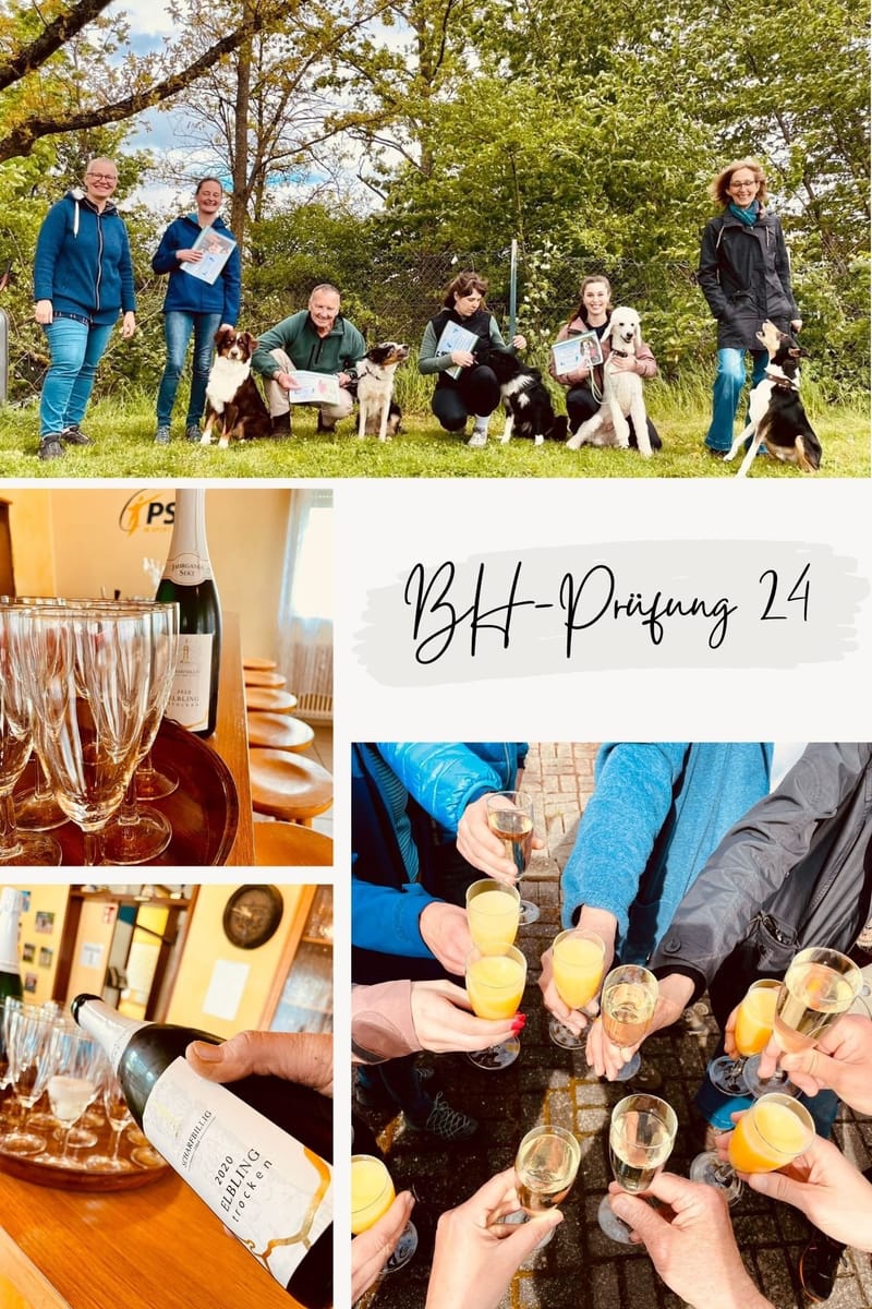 Begleithundeprüfung 2024